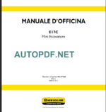 E17C MANUALE D’OFFICINA 2017