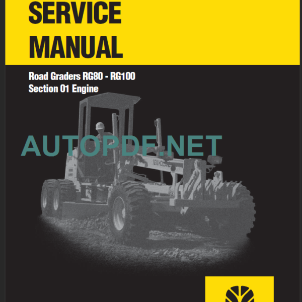 RG80-RG100 SERVICE MANUAL