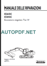 E265C-E305C MANUALE DELLE RIPARAZIONI