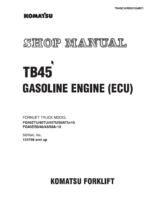 TB45 Gasoline Engine ECU Shop Manual