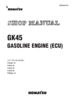 GK45 GASOLINE ENGINE (ECU) Shop Manual