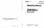 ZW250-6 Workshop Manual