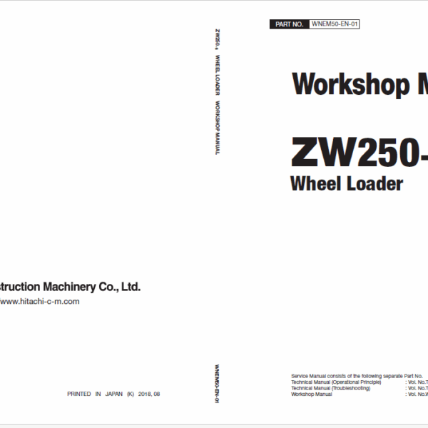 ZW250-6 Workshop Manual
