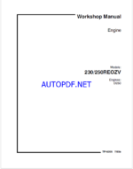 Kohler 230, 250REOZV Engine Workshop Manual (tp6205)