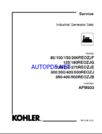 Kohler 80REOZJF, 100REOZJF, 150REOZJF, 200REOZJF, 125REOZJG, 180REOZJG, 230REOZJE, 250REOZJE, 275REOZJE, 300REOZJ, 350REOZJ, 400REOZJ, 500REOZJ, 350REOZ(tp7149)