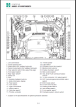 Takeuchi TL10V2, TL12V2, TL12R2 Track Loader Operators Manual (AR1EN028)