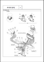 Case CX31B Crawler Excavator Service Parts Catalogue (698125319PC) (September 2024)
