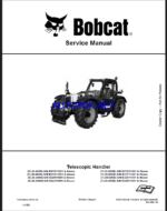 Bobcat TL3060 VersaHANDLER® TTC, Telescopic Handler Service Manual (7282535) (SN B3Z911001-B3Z999999)