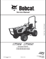 Bobcat CT1025 Compact Tractor Service Manual (7371512) (SN B4VG11001-B4VG99999)