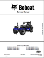 Bobcat TL3060 VersaHANDLER® TTC, Telescopic Handler Service Manual (7282535) (SN B3YD11001-B3YD99999)