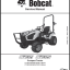 Bobcat CT1025 Compact Tractor Service Manual (7371512) (SN B4VG11001-B4VG99999)